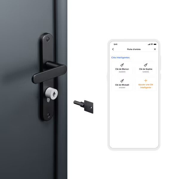 cerradura de puerta inteligente y llaves